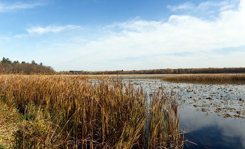 Blake Gumprecht/Flickr