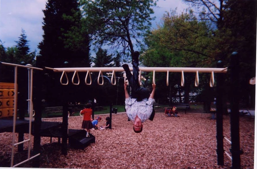 Monkey Bars