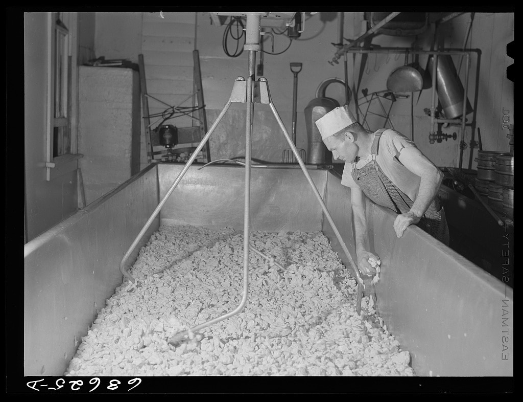 Making American cheese. Antigo, Wisconsin (1941 Aug.)