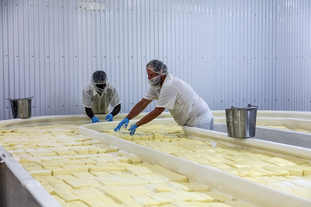 Workers at the Old Country Cheese plant in Cashton, Wisconsin, make large bricks of mild, semi-soft muenster cheese from milk supplied by nearby Amish farmers (2016-09-02)