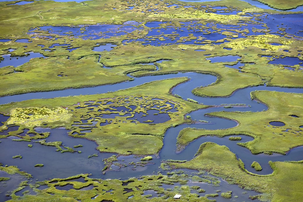 Marshlands on the New Jersey Shore near Little Egg Harbor, New Jersey (2017-08-09)