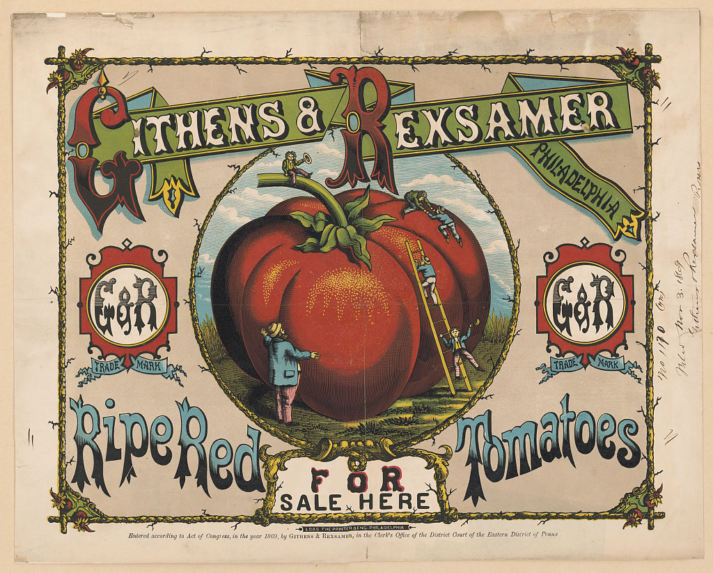 Victorian advertisement: men climb tomato