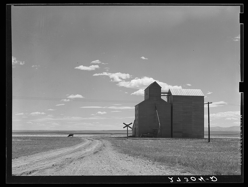 Grain elevators on Henry Sheffels' 6,000 acre wheat ranch. Cascade County, Montana (1939 May)