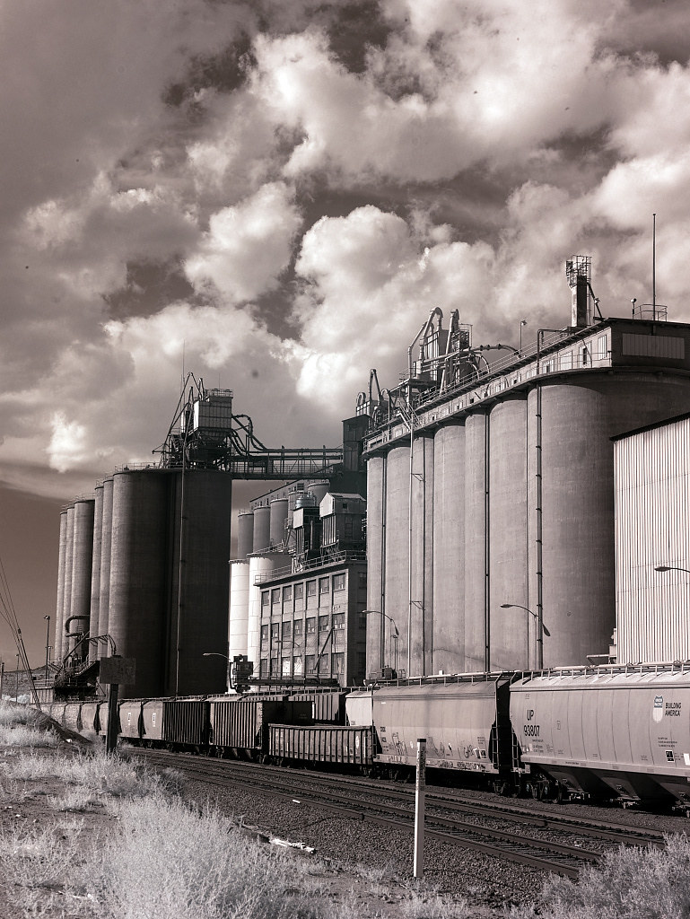 Train in front of a grain elevator in California (2012)