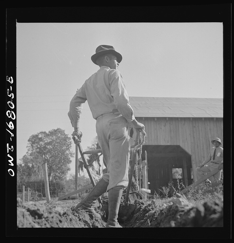 Daytona Beach, Florida. Bethune-Cookman College. An instructor on the agricultural school farm plowing early in the morning (1943 Feb.)