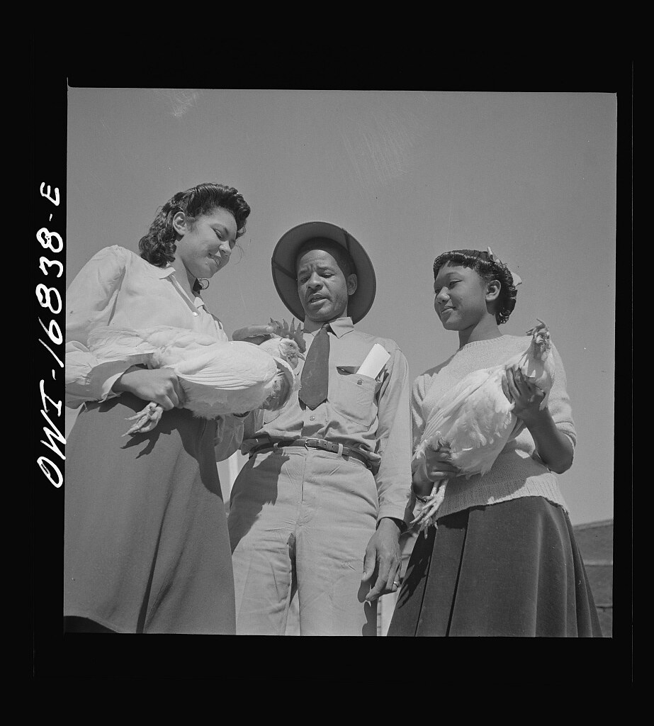 Daytona Beach, Florida. Bethune-Cookman College. Students learning modern dairy methods (1943 Feb.)