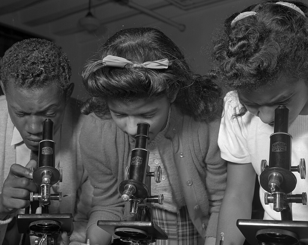 Daytona Beach, Florida. Bethune-Cookman College. Students using microscopes (1943 Feb.)