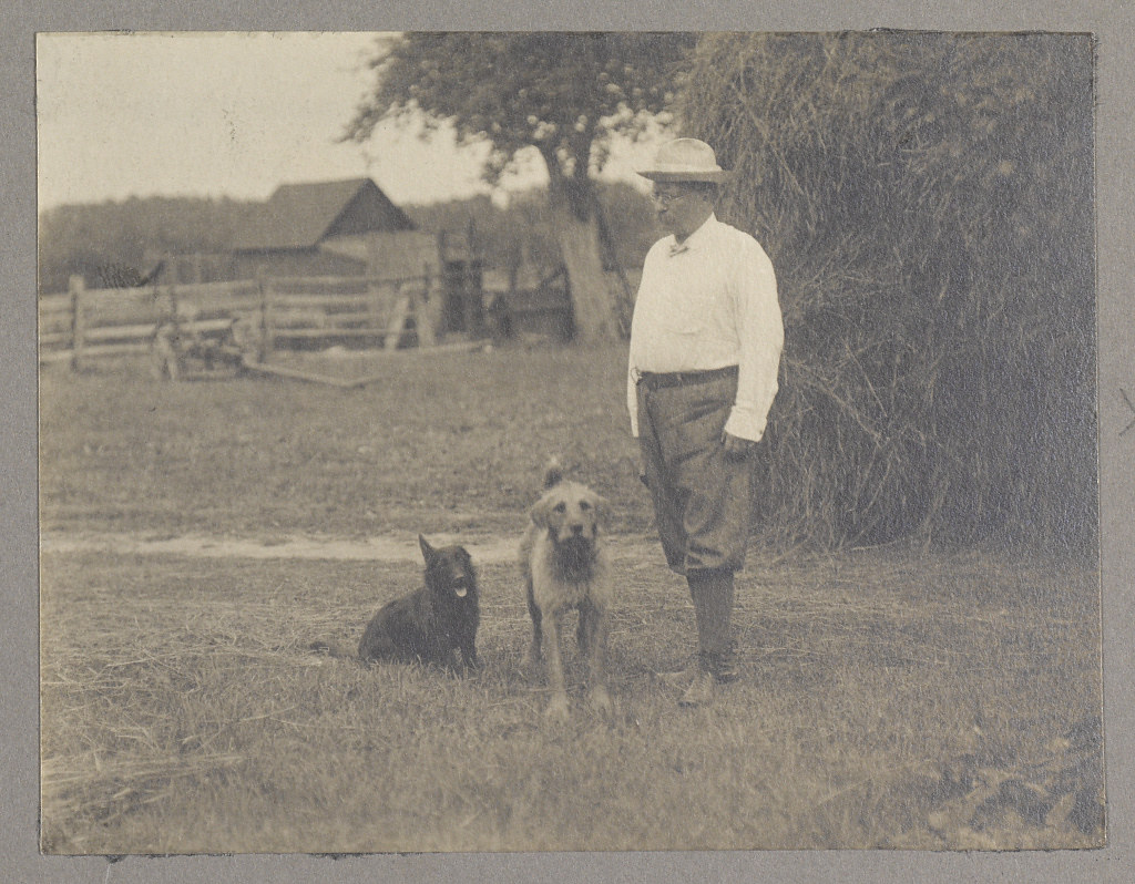 Theodore Roosevelt standing with two dogs next to haystack (c1905 September 11)
