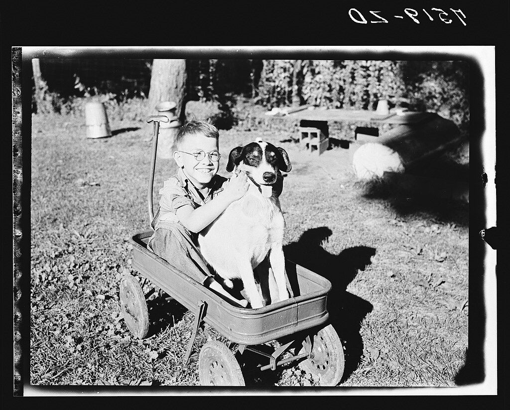 Dale Thornton, son of Clarence Thornton, FSA borrower. Story County, Iowa (1940 Apr.)