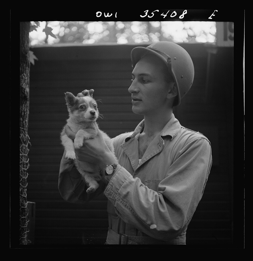 Greenville, S.C. Air Service Command. Lieutenant Rosen of the Quartermaster Truck Company with a pet puppy (1943 July)