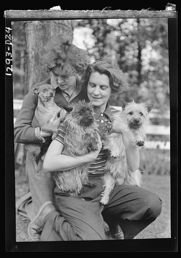 Le Gallienne, Eva, and unidentified woman, with dogs, outdoors (1937)