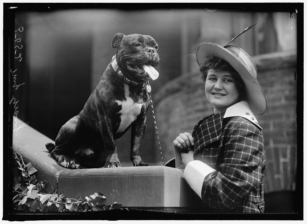 Gracie, Miss Edith. Dog Show (1915)