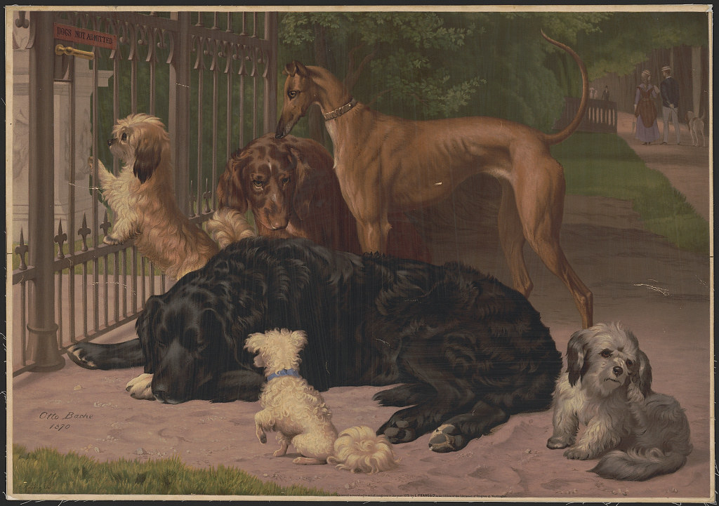 Dogs not admitted (ca 1872)