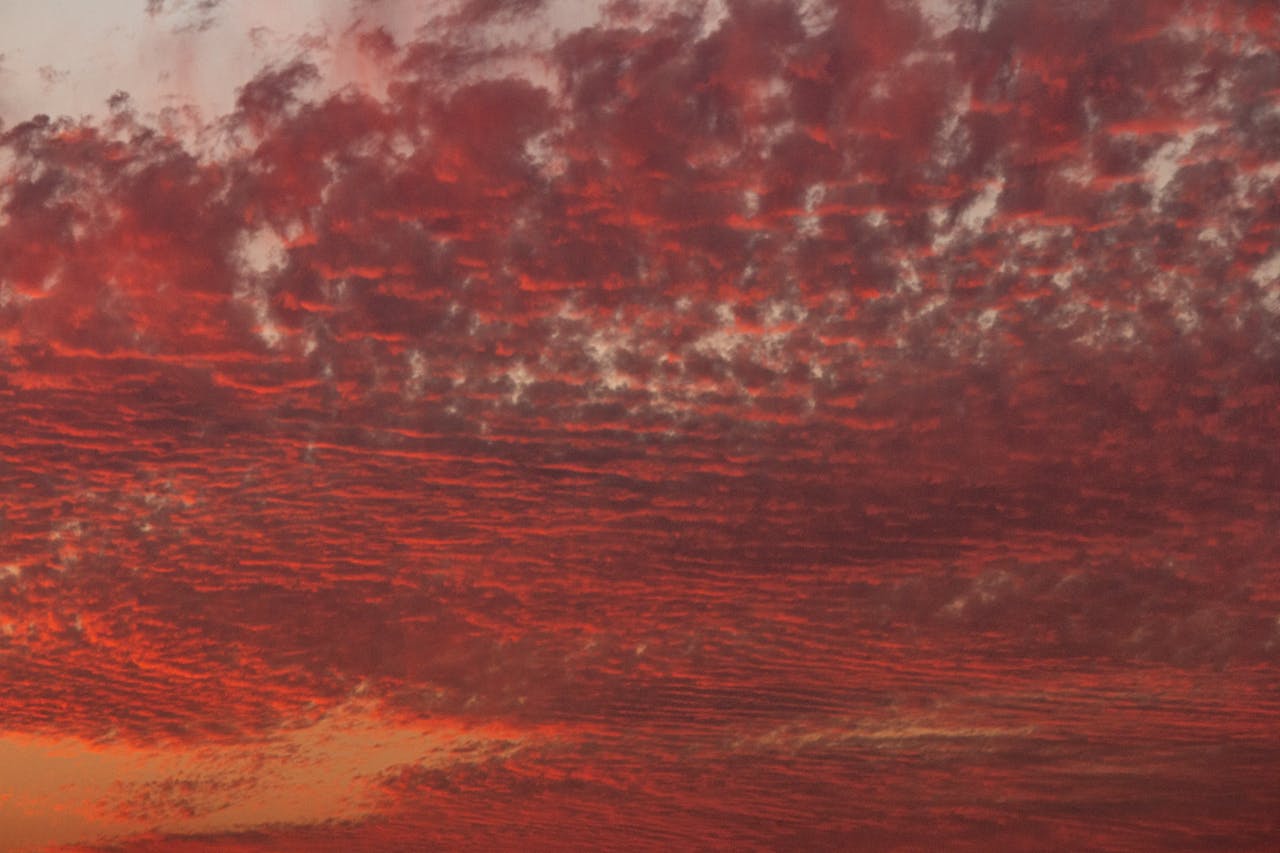 Red clouds on a sunset sky.