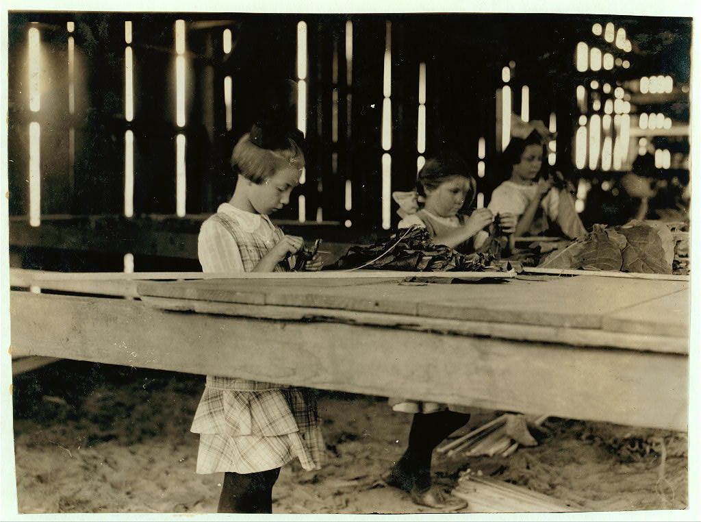 Girls working tobacco leaves, Hazardville
