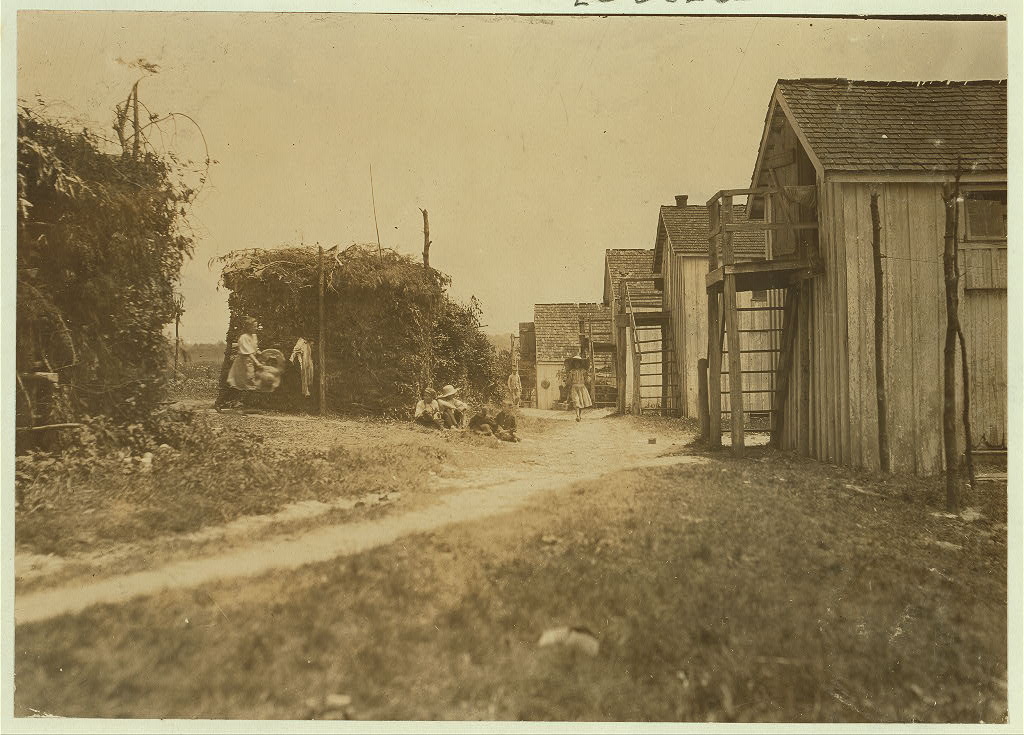 Berry farm shanties near Baltimore