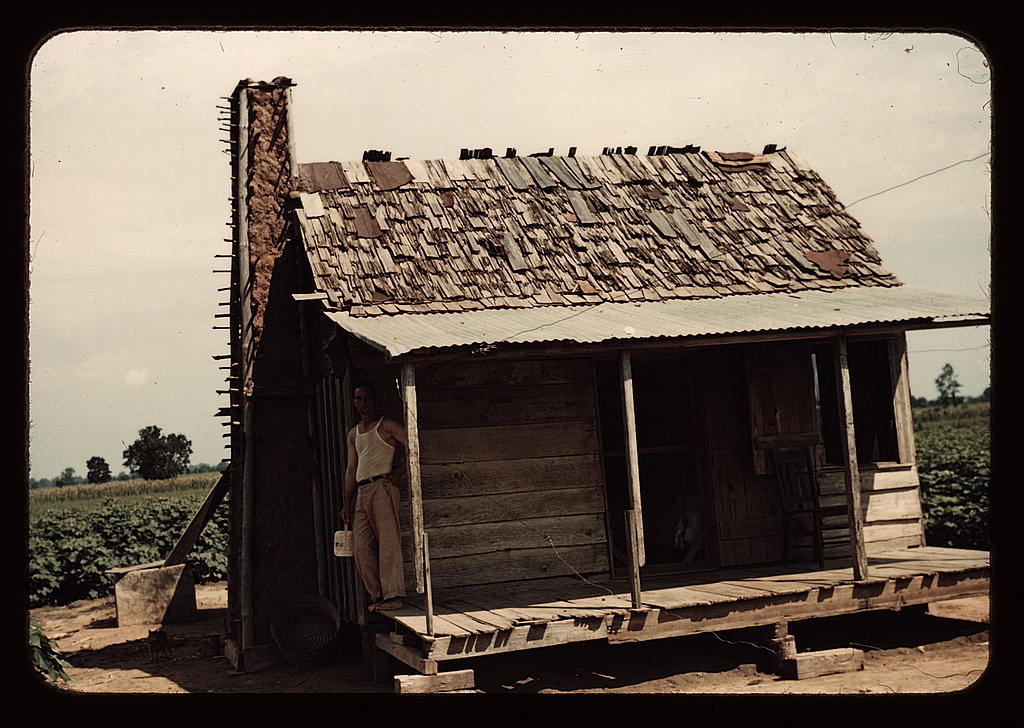 An old tenant house with a mud chimney and cotton growing up to its door, which is occupied by Mulattoes, Melrose, La. (1940 June)