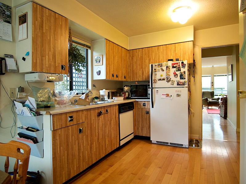Several notable features of this late-70s beauty are the fake butcher-block melamine cabinets, the very handy cupboard in the corner next to the dishwasher (you can't reach more than an eighth of the way into the blind cavern, even on your knees), and the single light source in the room that's always a pleasure to work in shadow of - a triple swedish-ball - three hundred watts of lousy illumination.