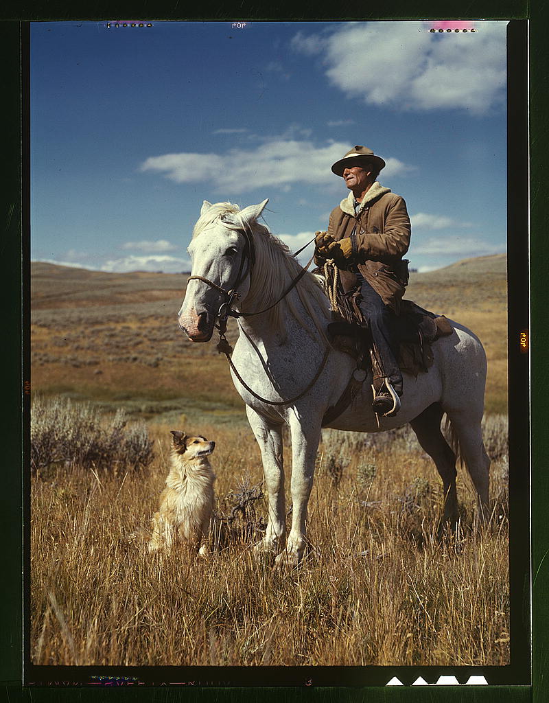 Shepherd with his horse and dog, Montana 1942