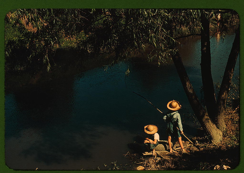 Boys fishing in a bayou, Schriever, La. Cajun children in a bayou near the school. Terrebonne, a Farm Security Administration project (1940 June)