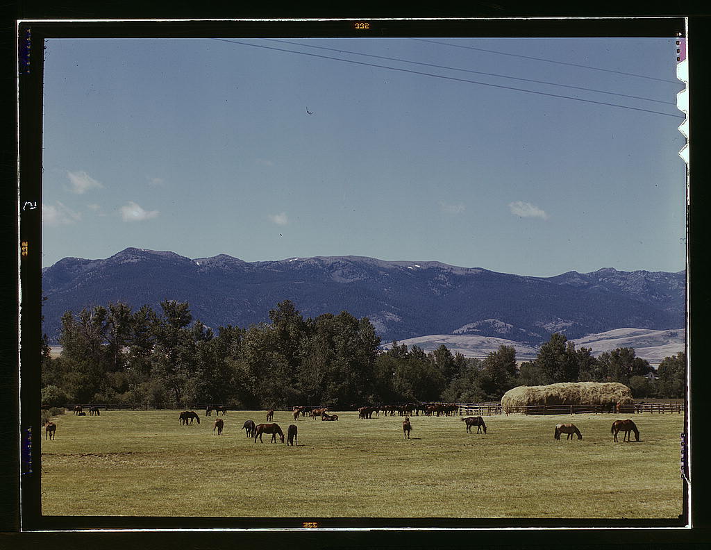 Horse breeding ranch, Grant Co., Oregon (1942 July)