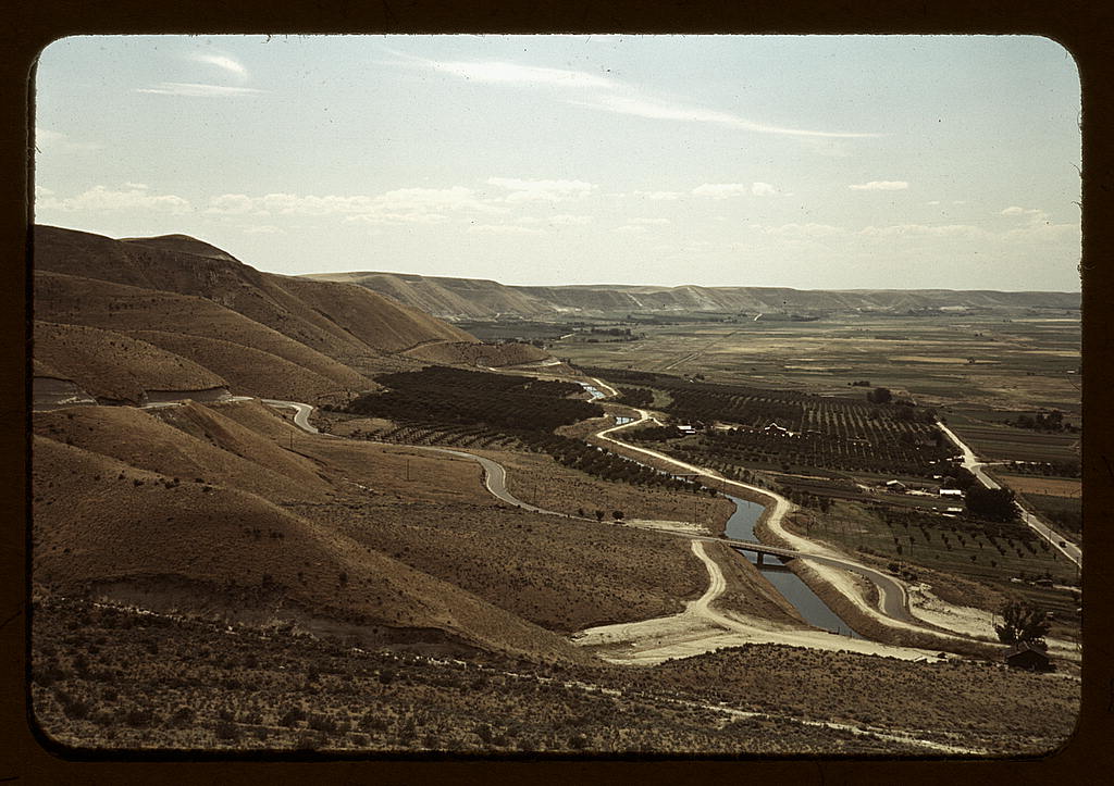 Cherry orchards and irrigation ditch, Emmett, Idaho (1941 July)