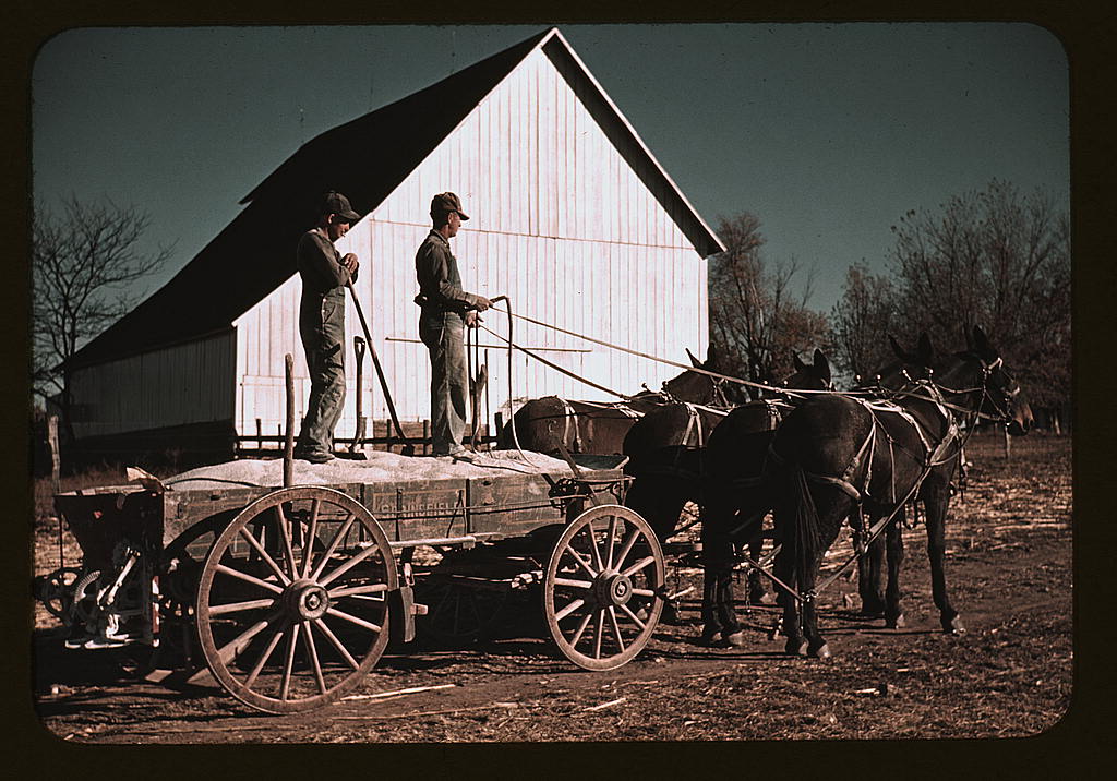 Fertilizer Wagon, Southeastern Georgia — Photograph shows fertilizer wagon with Springfield on its side. (ca. 1940)