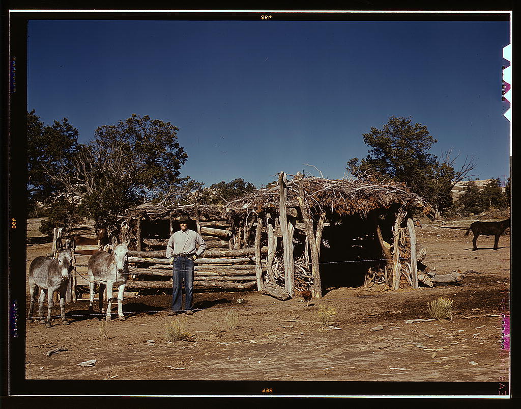 Mr. Leatherman, homesteader, with his work burros in front of his barn, Pie Town, New Mexico (1940 Sept.)