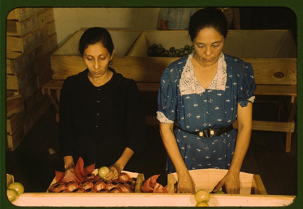 Sorting and packing tomatoes at the Yauco Cooperative Tomato Growers Association, Puerto Rico (1942 Jan.)