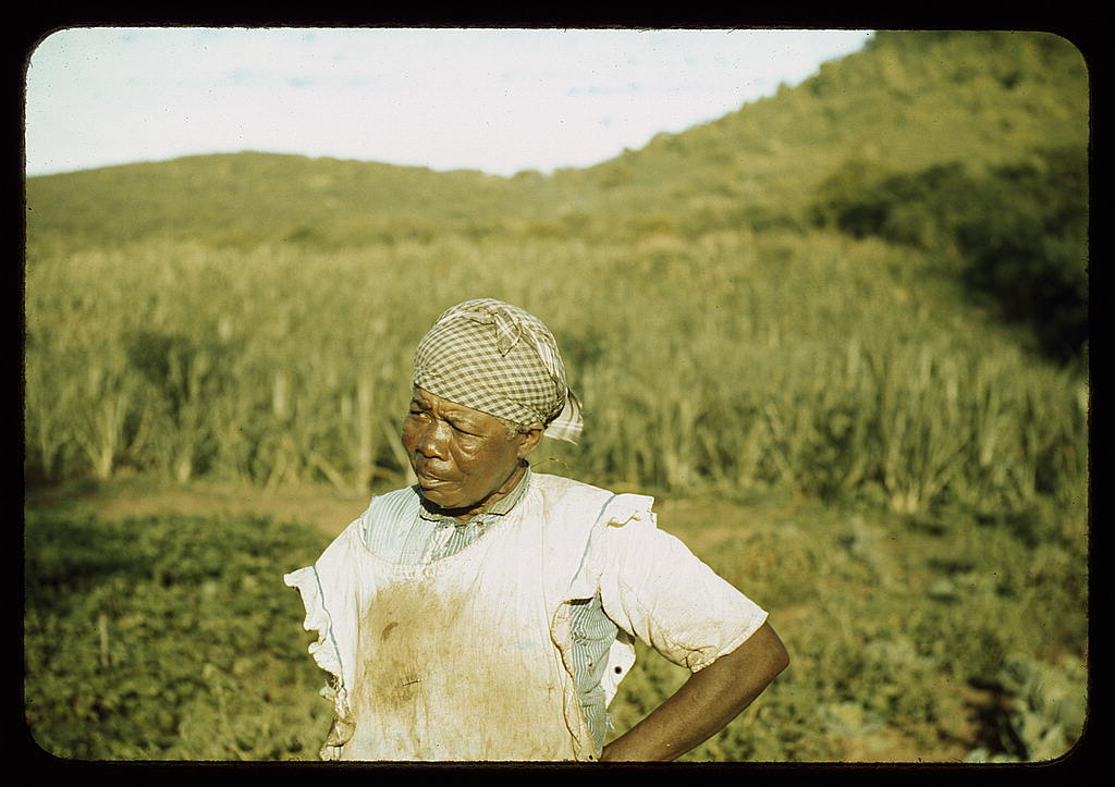 FSA borrower in her garden, Puerto Rico (1942 Jan. or 1941 Dec.)