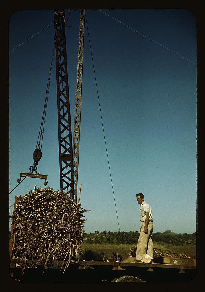 Crane at a ‘central’ sugar cane gathering place, San Sebastian vicinity, Puerto Rico (1942 Jan.)
