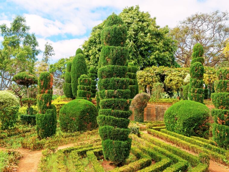 Flora the Explorer: 15 Botanical Gardens Every Plant Nerd Needs to Visit