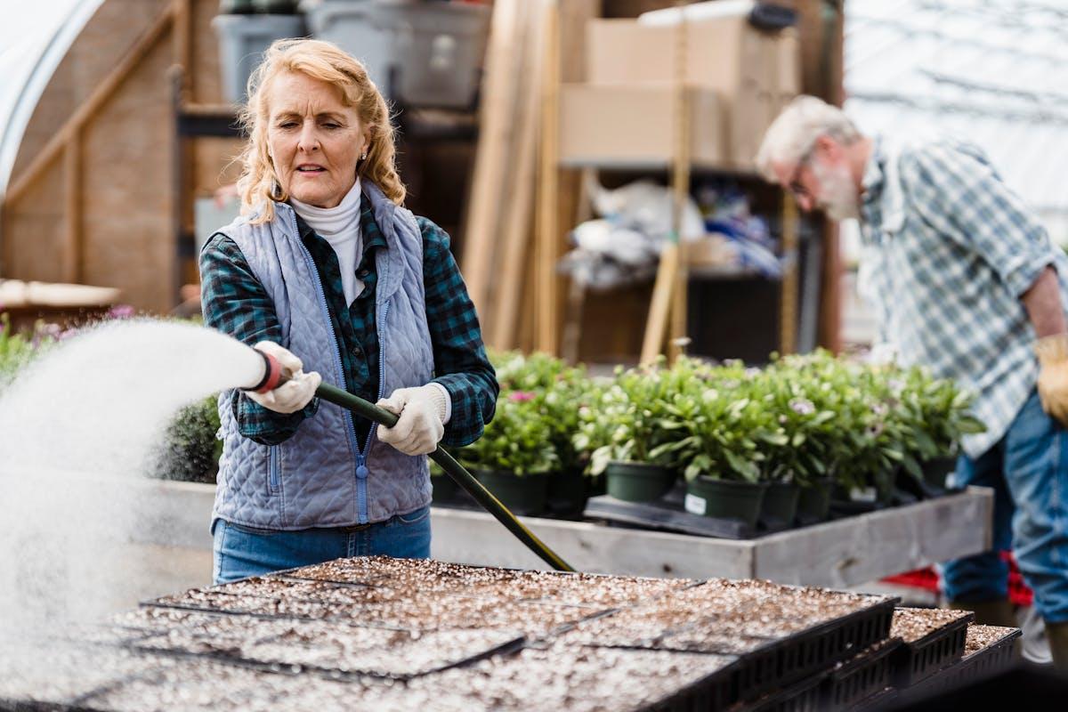 A person spraying seedlings on a tray AI-generated content may be incorrect.