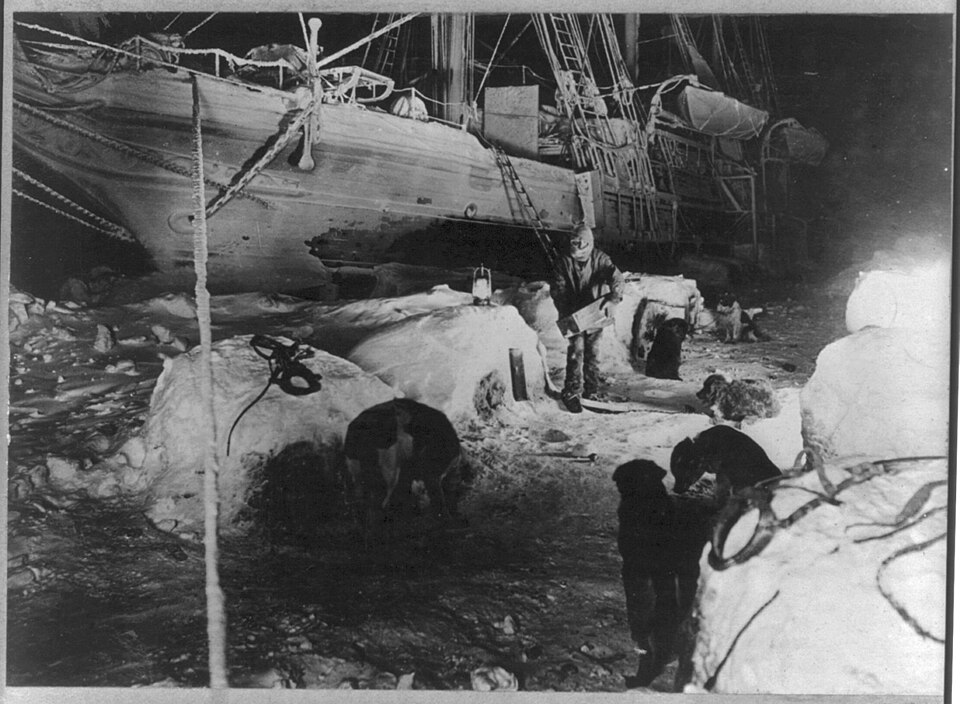 Shackleton's dogs being fed in the ice kennel