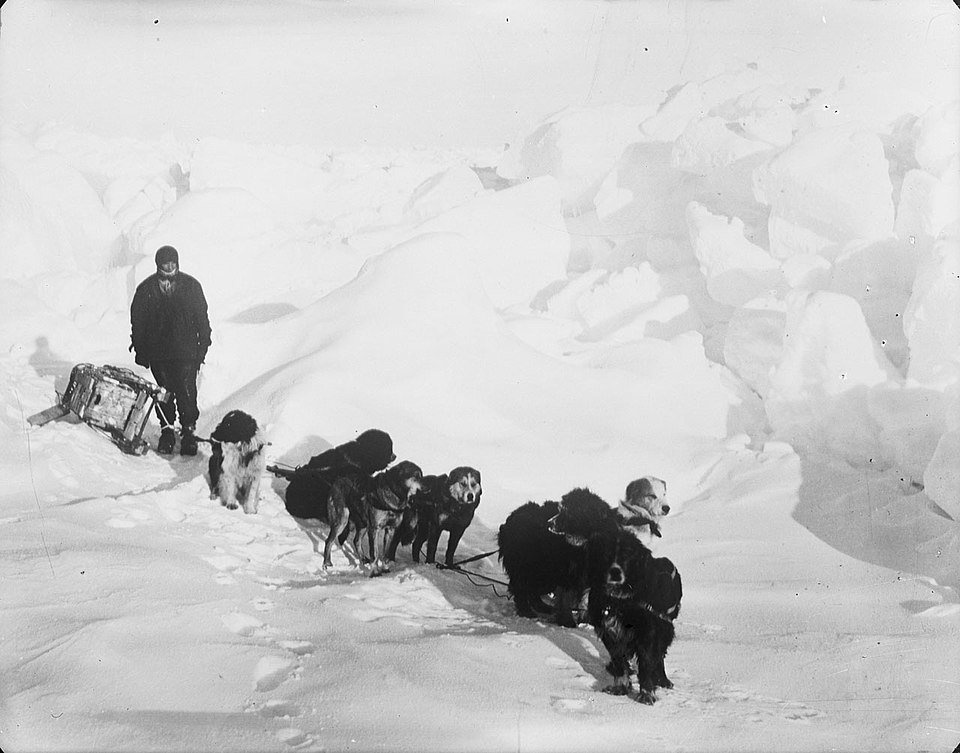 A seven-dog sledge team on the ice